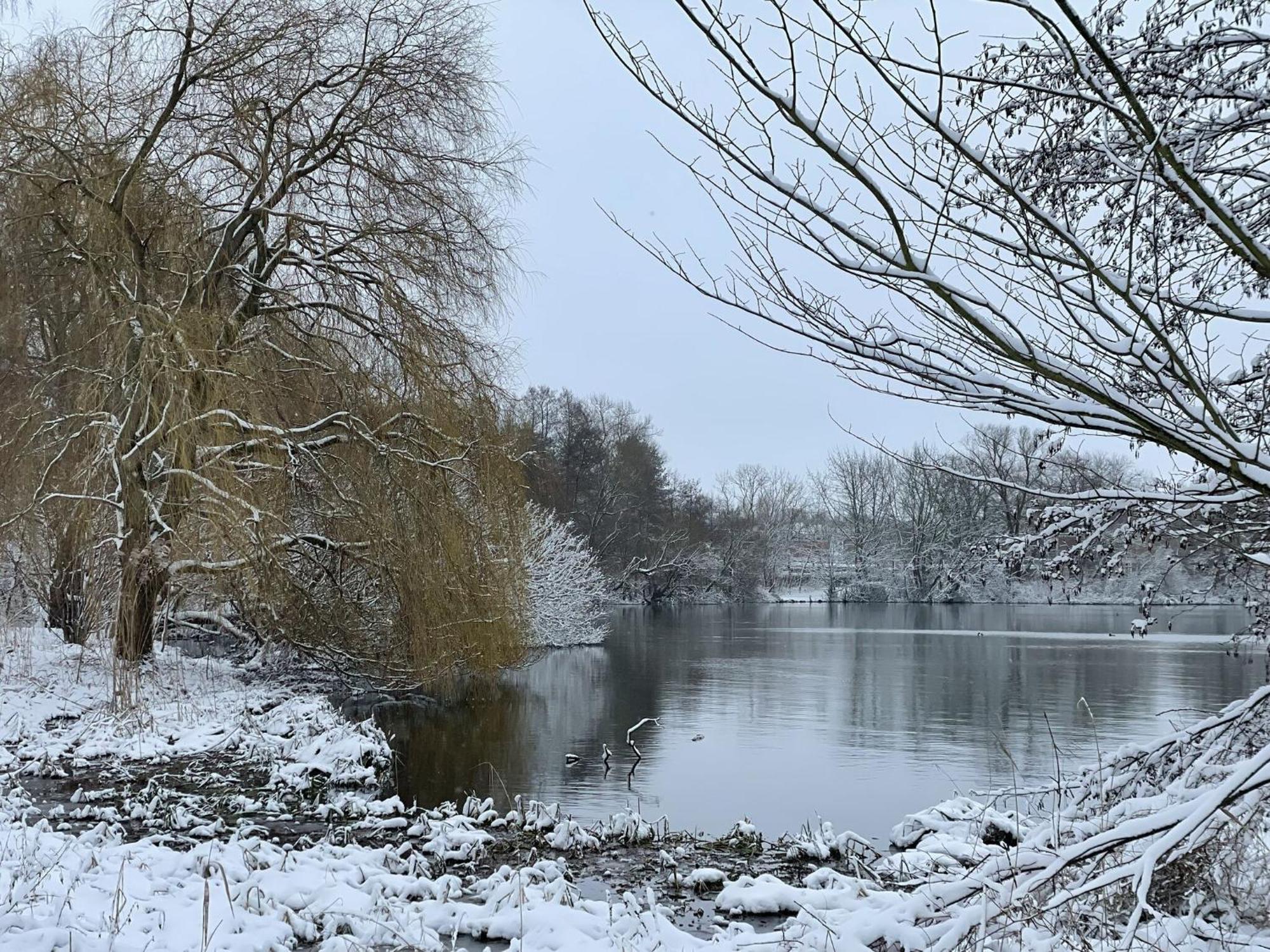 Flat In Eutin On The Kleiner Eutiner See Lake מראה חיצוני תמונה