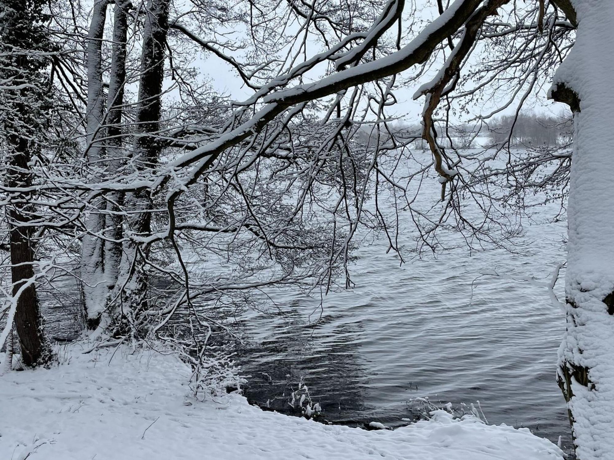 Flat In Eutin On The Kleiner Eutiner See Lake מראה חיצוני תמונה