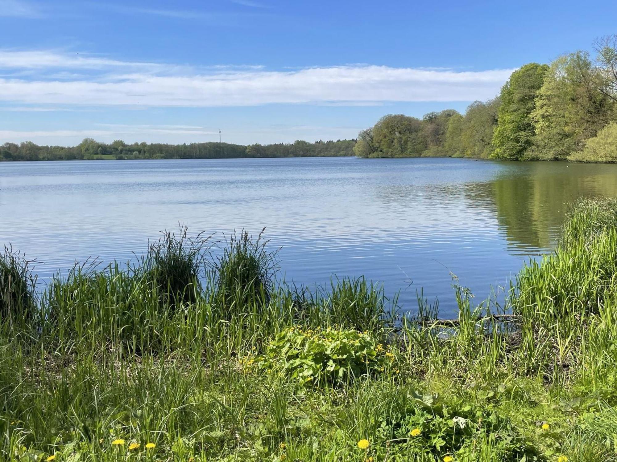 Flat In Eutin On The Kleiner Eutiner See Lake מראה חיצוני תמונה